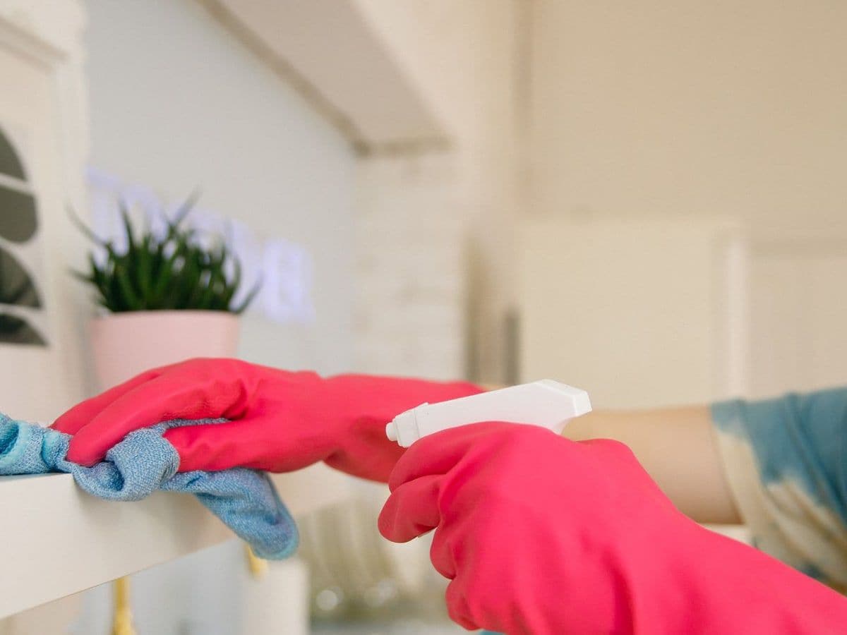 Regular Cleaning